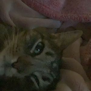 Meet your Posher, Lily